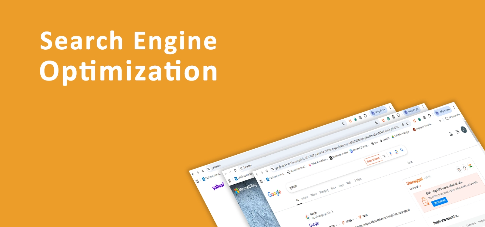 Search engine optimization (SEO)